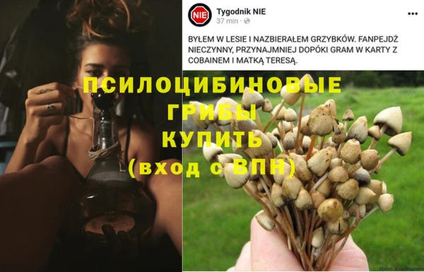 гашиш Елабуга